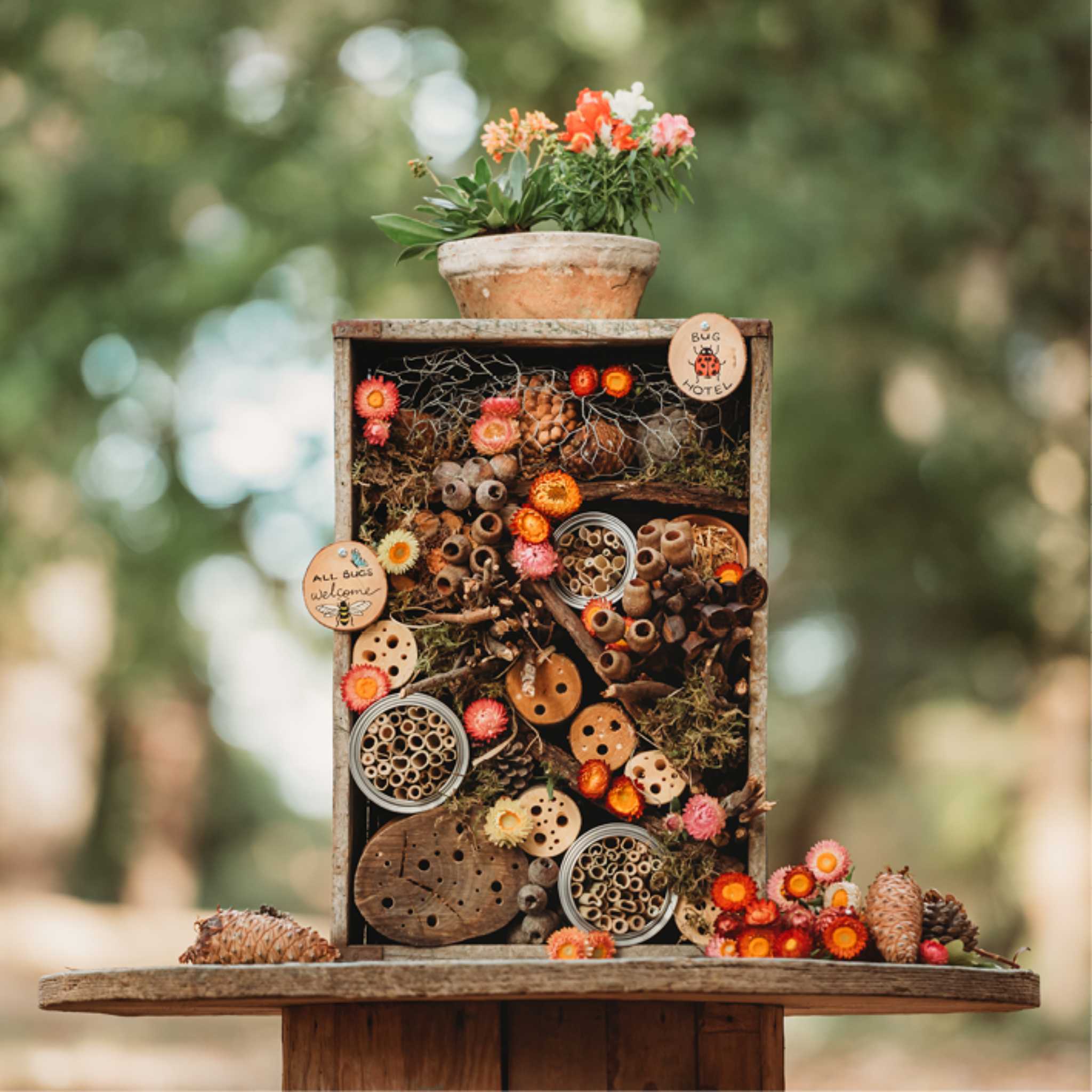 Wild Projects For Families - Bug Hotel