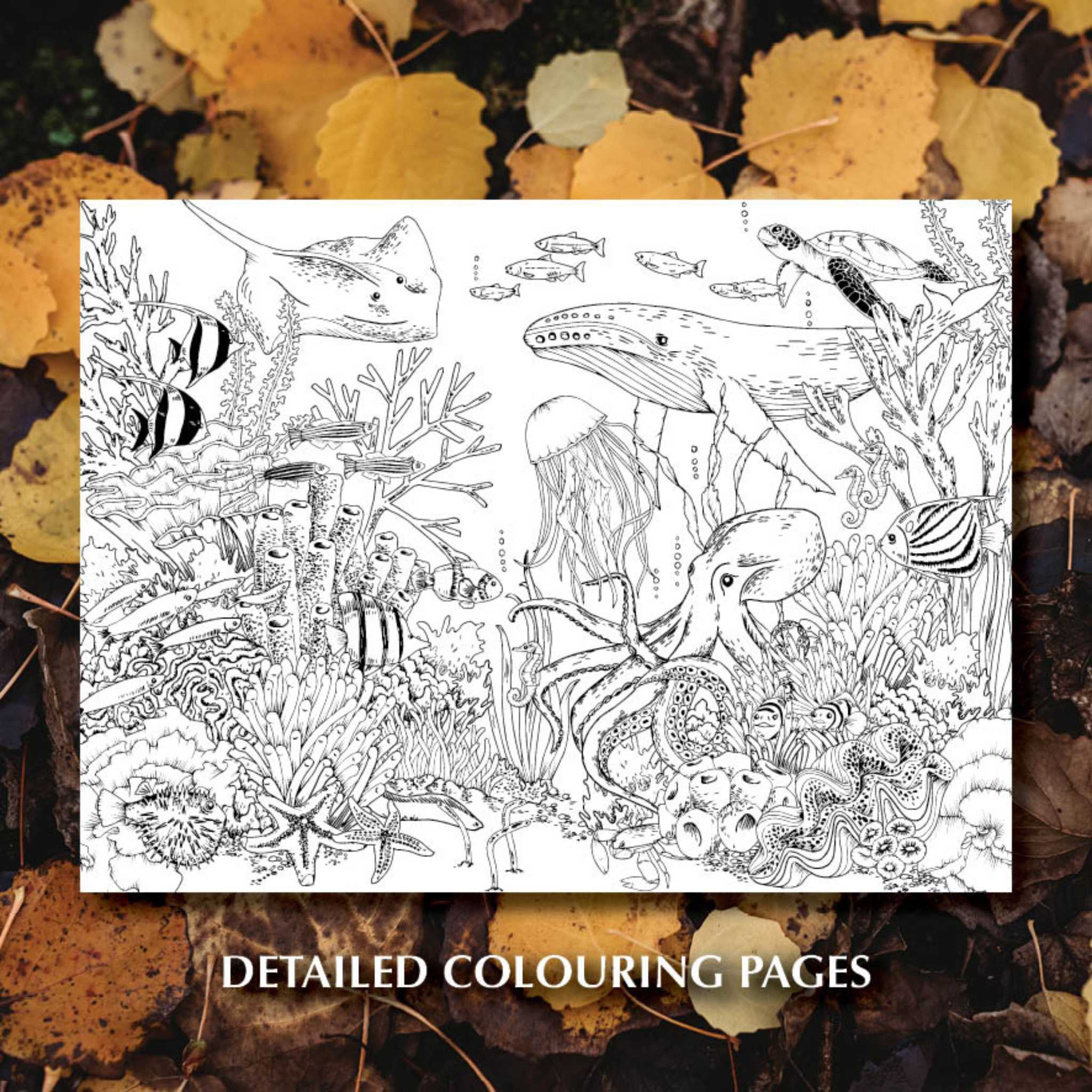 You Wild Books Activity Book - Colouring Pages