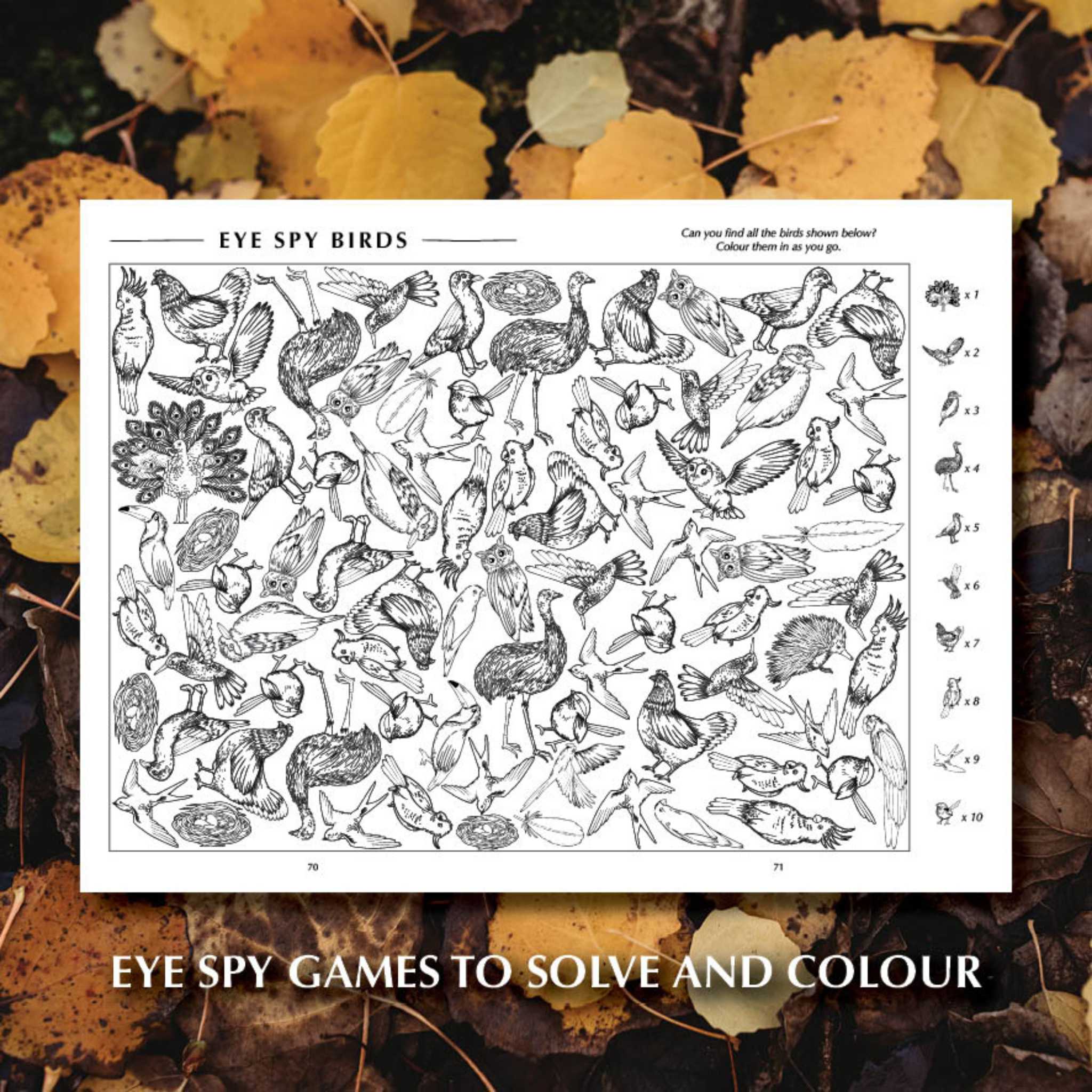 You Wild Books Activity Book- Eye Spy