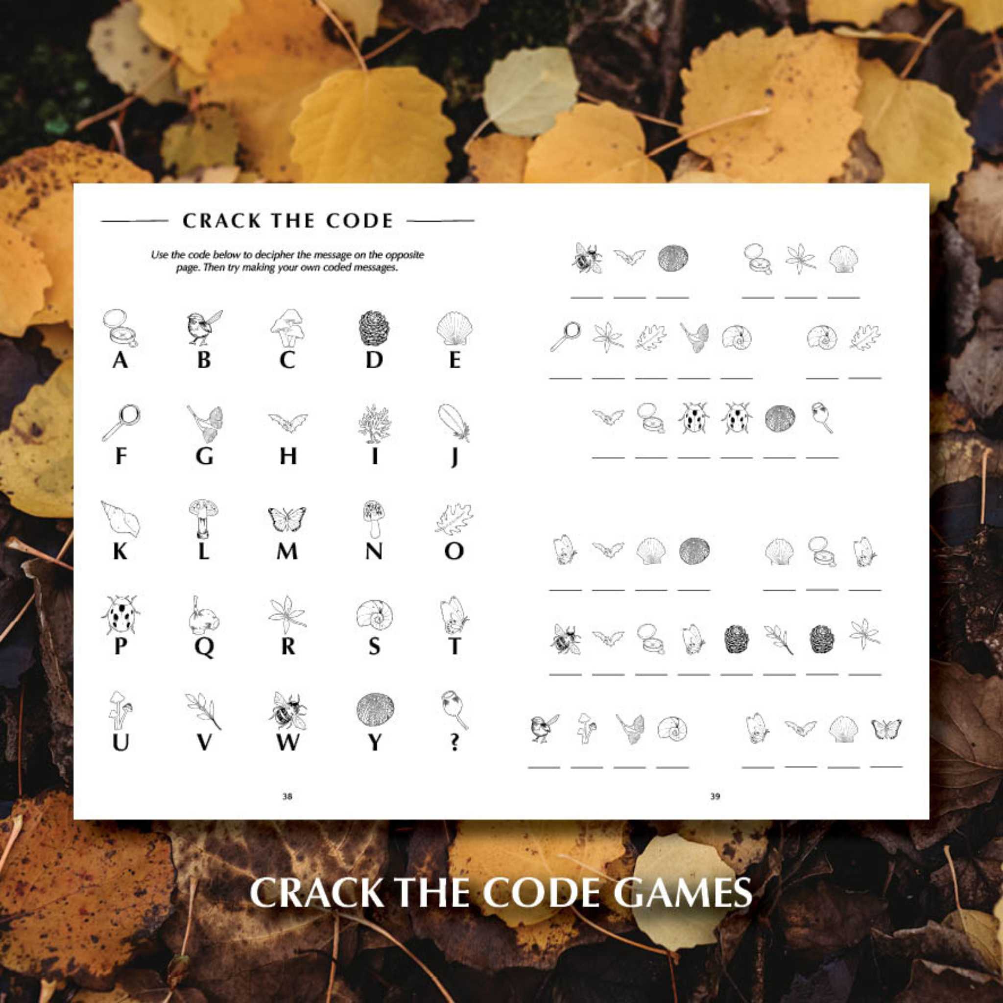 You Wild Books Activity Book - Crack the Code