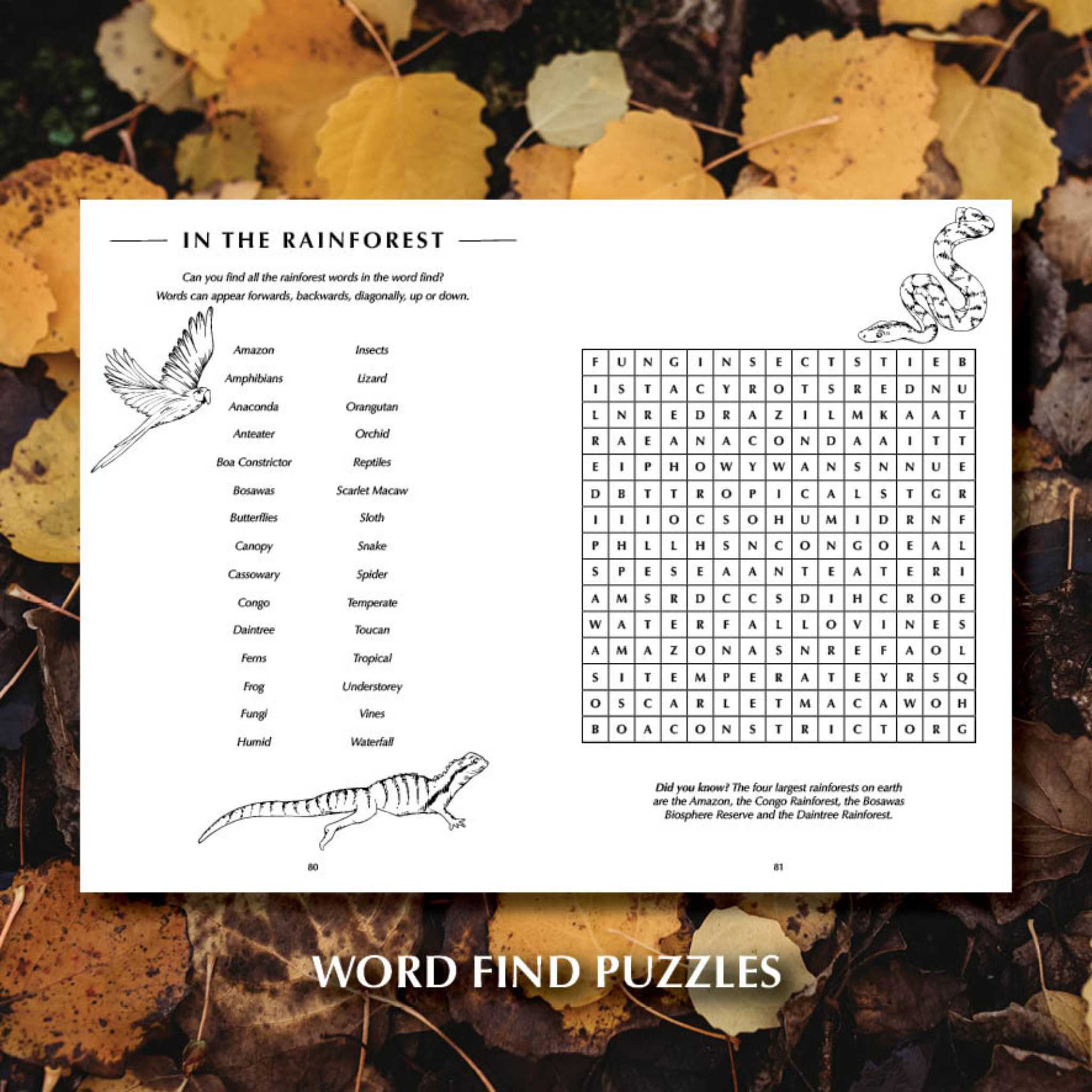 You Wild Books Activity Book - Word Search