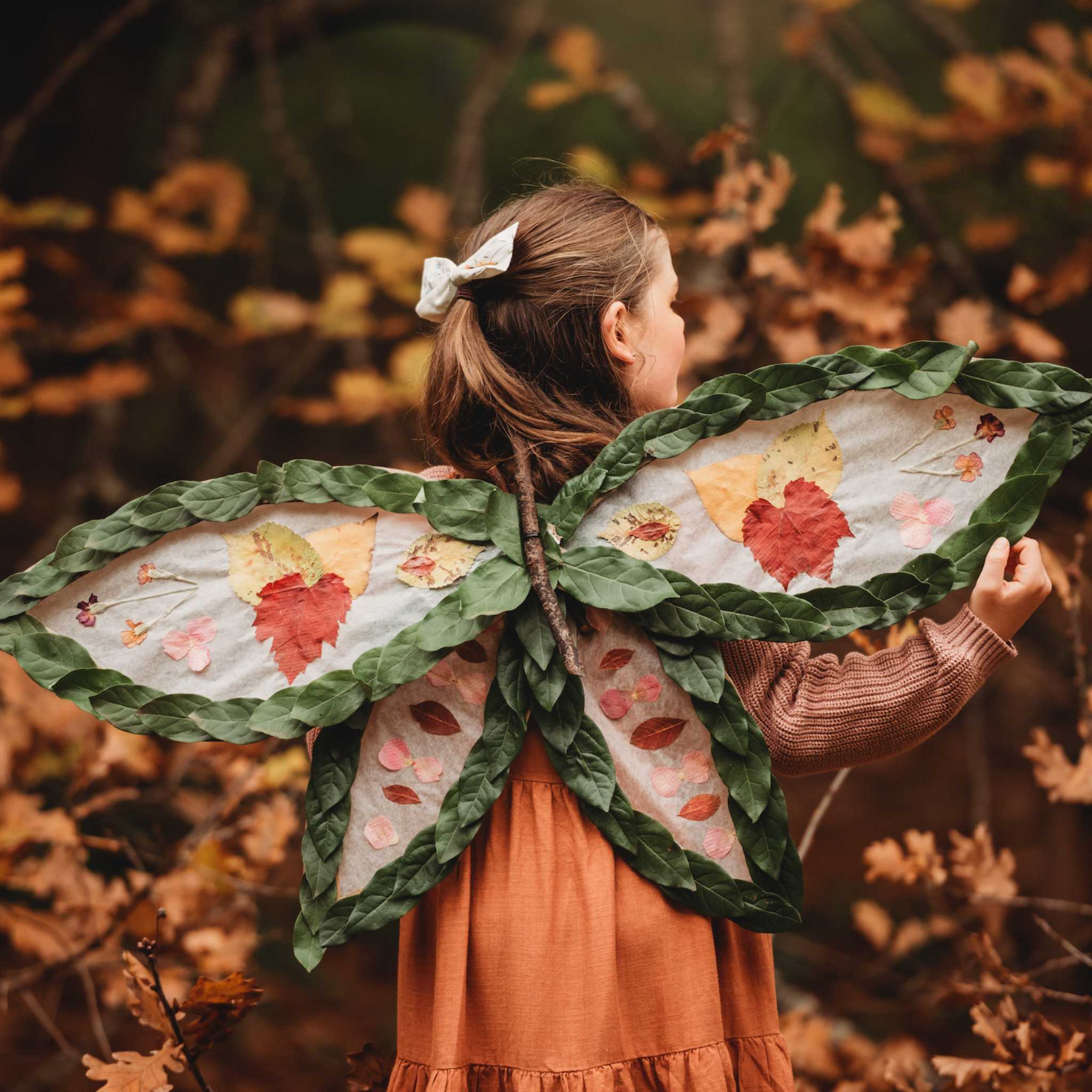 Your Wild Books Wild Child - Nature Wings